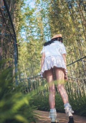 藏海花1-40集完整版免费观看